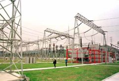 防潮悠悠香蕉香蕉网案例