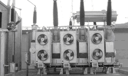 防潮悠悠香蕉香蕉网应用